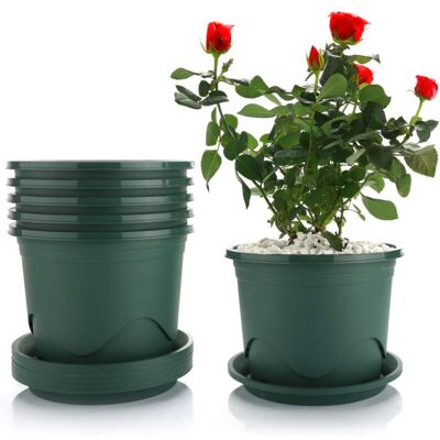 SIOKS Maceta De Plástico De 21 Cm Con Bandeja - Juego De 6, Maceta Decorativa Para Bonsáis, Suculentas Y Aloe Vera - Fei Yu SIOKS Maceta De Plástico De 21 Cm Con Bandeja - Juego De 6, Maceta Decorativa Para Bonsáis, Suculentas Y Aloe Vera - Fei Yu