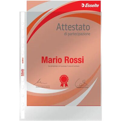 Fundas Esselte De Perforación Universal Deluxe Ppl Brillante Formato A4 22x30 Cm Paquete De 50 Unidades Fundas Esselte De Perforación Universal Deluxe Ppl Brillante Formato A4 22x30 Cm Paquete De 50 Unidades