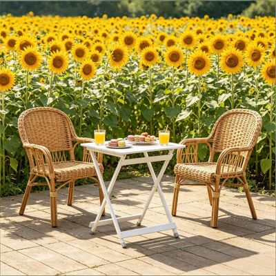JHY DESIGN Mesa De Mercado, Mesa De Picnic Plegable, Mesa De Camping Portátil, Mesa De Jardín Con Patas Antideslizantes. JHY DESIGN Mesa De Mercado, Mesa De Picnic Plegable, Mesa De Camping Portátil, Mesa De Jardín Con Patas Antideslizantes.