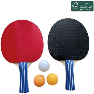 OEM Ensemble De Tennis De Table Sportx - Ensemble De Tennis De Table Avec Balles 4 Étoiles OEM Ensemble De Tennis De Table Sportx - Ensemble De Tennis De Table Avec Balles 4 Étoiles