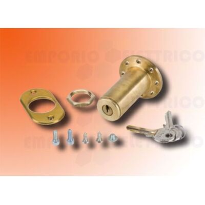 Desbloqueo Con Llave Externa Para Actuador 593 - 15mm Numeración 01 Faac 424560001 Desbloqueo Con Llave Externa Para Actuador 593 - 15mm Numeración 01 Faac 424560001