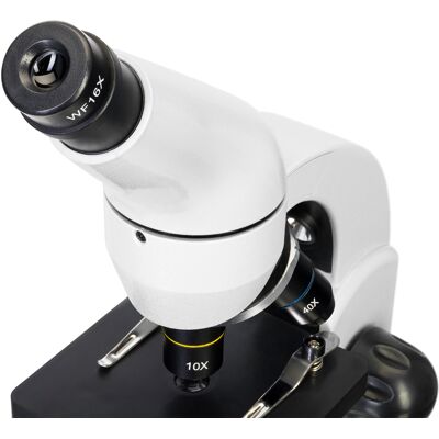 Microscopio Digital Levenhuk Rainbow D50l Plus 2m, Moonstonepiedra De Luna Microscopio Digital Levenhuk Rainbow D50l Plus 2m, Moonstonepiedra De Luna