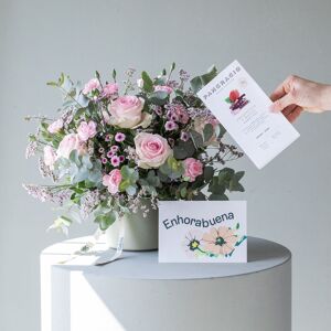 Flores a Domicilio - Pack Arreglo Rosa con Chocolate y Dedicatoria - COLVIN