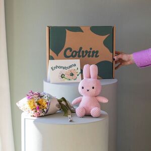 Flores a Domicilio - Pack Baby: Mini Ramo con Peluche Miffy Rosa y Dedicat - COLVIN