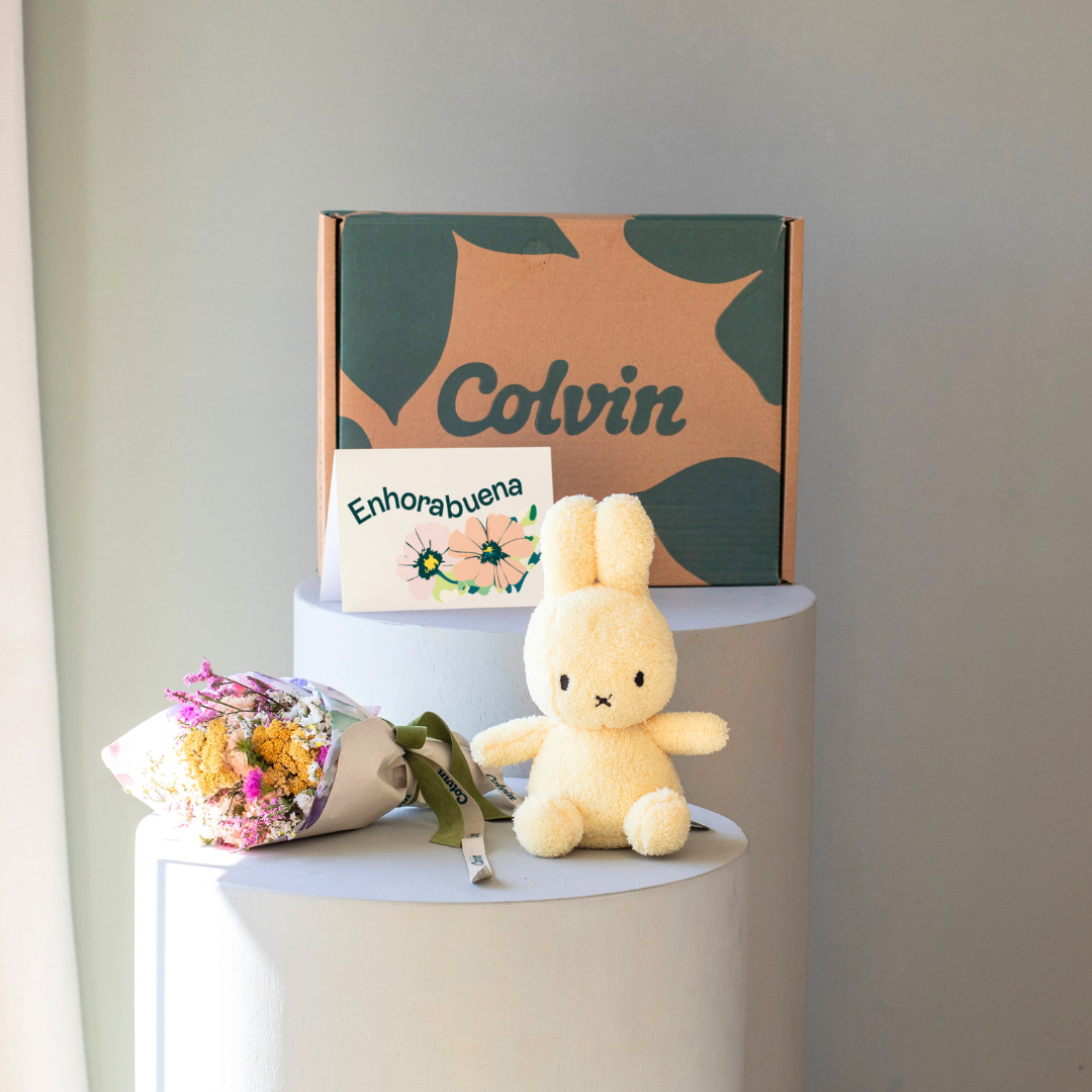 Flores a Domicilio - Pack Baby: Mini Ramo con Peluche Miffy Amarillo y Ded - COLVIN