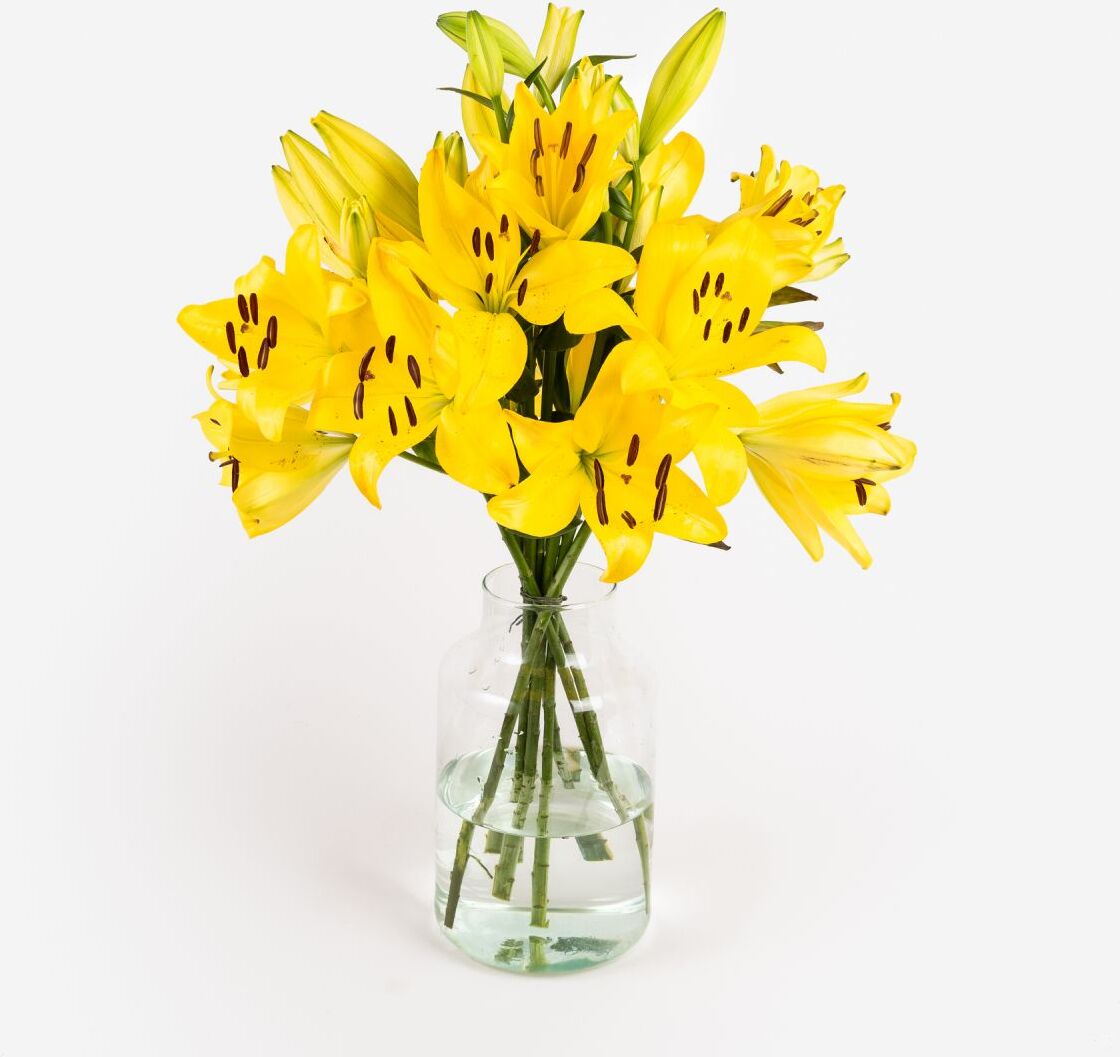 Beau Soleil Beau Soleil