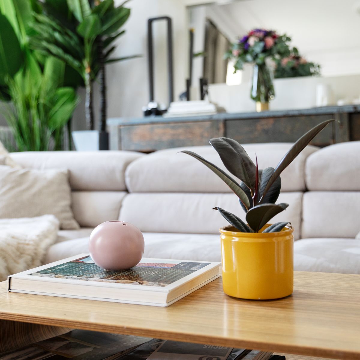 Little Gala Little Gala