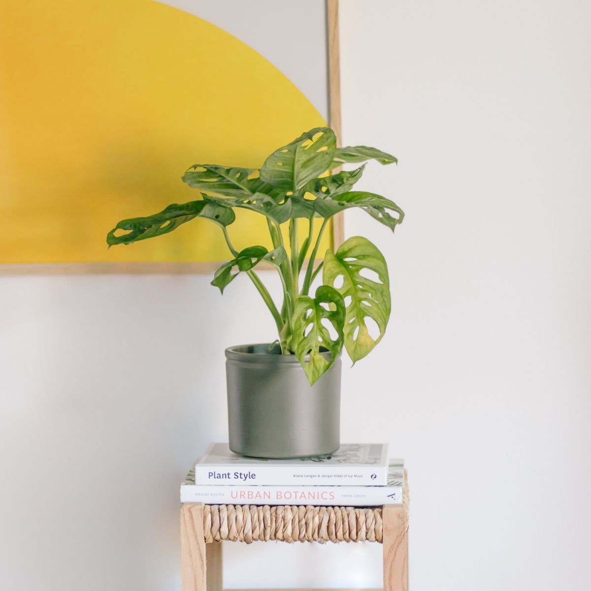 Little Monica Little Monica