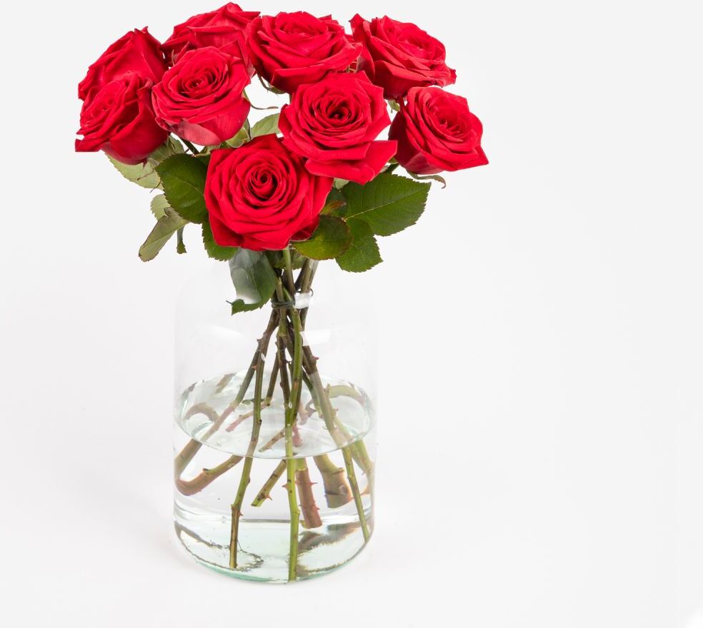 Loving Red Roses Loving Red Roses