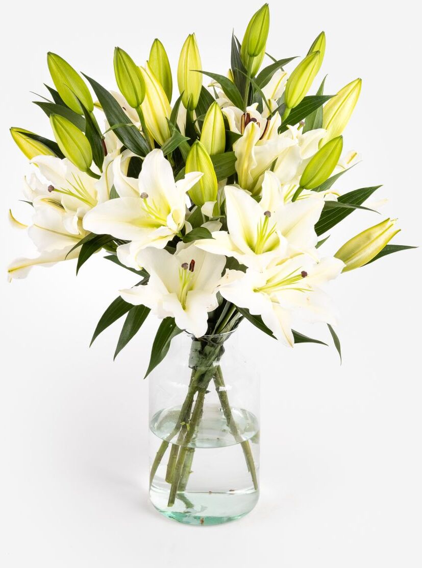 Pacific Ocean Pacific Ocean