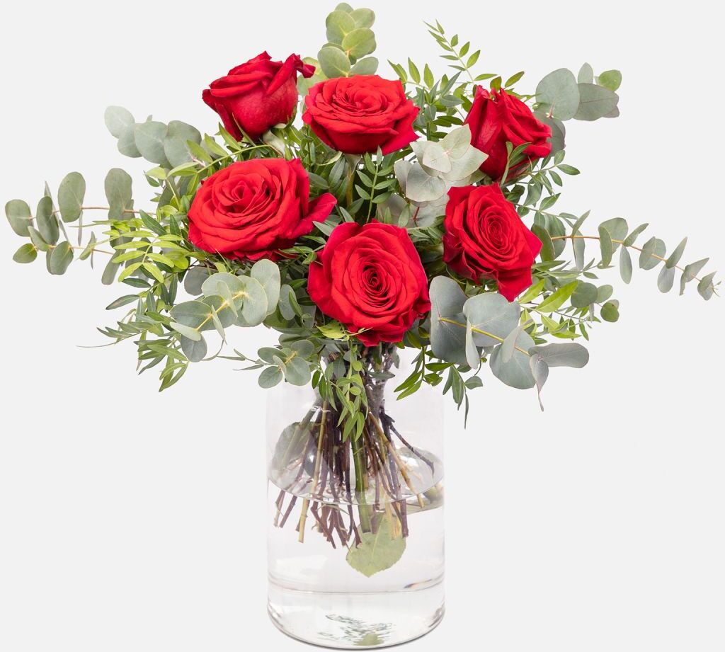 Red Bloom Express Red Bloom Express