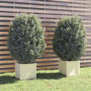 vidaXL Jardineras 2 Uds Madera Maciza De Pino Blanco 40x40x40 Cm