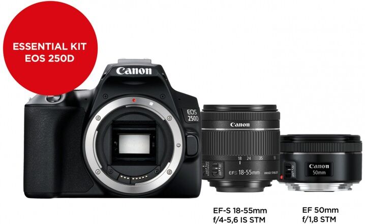 Canon Eos 250d Con Ef-s 18-55 Mm Is Stm + Ef 50 Mm Stm (3454c013) Kit Retrato Canon Eos 250d Con Ef-s 18-55 Mm Is Stm + Ef 50 Mm Stm (3454c013) Kit Retrato