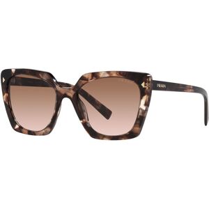 Prada 23zs 07r0a6 Gafas De Sol Havana