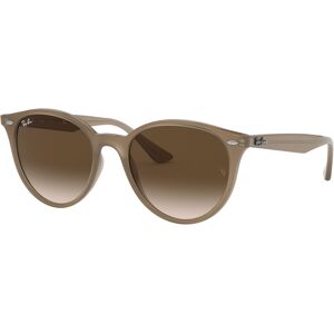 Rayban Rb-4305 616613 Light Brown (brown Gradient Dark Brown) 53*19 Gafas De Sol Marron