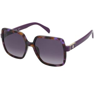 Tous Sto B73 0wta Gafas De Sol Havana Violeta