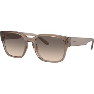 Arnette-4325 290613 Transparent Tabacco(gradient Brown 54*19 Gafas De Sol Beige Transparente