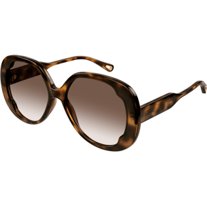 Chloé Chloe-0195s/s 002 Havana(brown 56*16 Gafas De Sol Havana