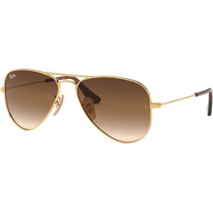 Rayban Rj-9506s 223/13 Gold(brown Gr 52*14 Gafas De Sol Dorado