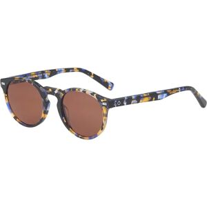 Beo S185 C1 Gafas De Sol Havana azul