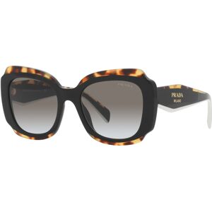 Prada-16ys/s 01m0a7 Black(dark Grey 52*19 Gafas De Sol Havana-Negro