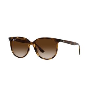 Rayban Rb-4378 710/13 Havana(gradient Brown 54*16 Gafas De Sol Havana