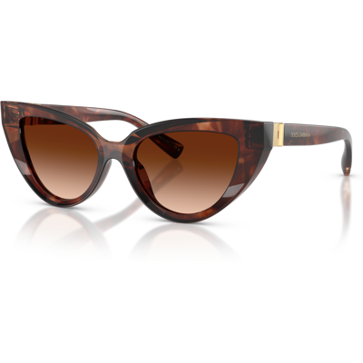 Gafas De Sol Dolce & Gabbana 0dg4497 322274 Burdeos Havana Gafas De Sol Dolce & Gabbana 0dg4497 322274 Burdeos Havana