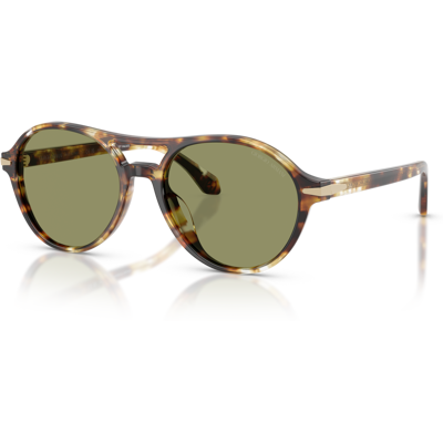 Giorgio Armani AR8236U Gafas de Sol Redondas Verde Tortuga - Gafas de Sol Giorgio Armani AR8236U Gafas de Sol Redondas Verde Tortuga - Gafas de Sol