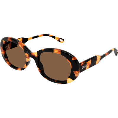 Chloé Gafas De Sol Chloe Ch 0197s 003 Havana Chloé Gafas De Sol Chloe Ch 0197s 003 Havana