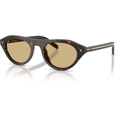 Gafas De Sol Prada Pr B15s 17n70r Carey Raíz Gafas De Sol Prada Pr B15s 17n70r Carey Raíz