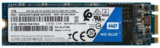 Western Digital Disco SSD Interno WESTERN DIGITAL M.2 2280 1TB Azul (1 TB - M.2 - 560 MB/s) Western Digital Disco SSD Interno WESTERN DIGITAL M.2 2280 1TB Azul (1 TB - M.2 - 560 MB/s)