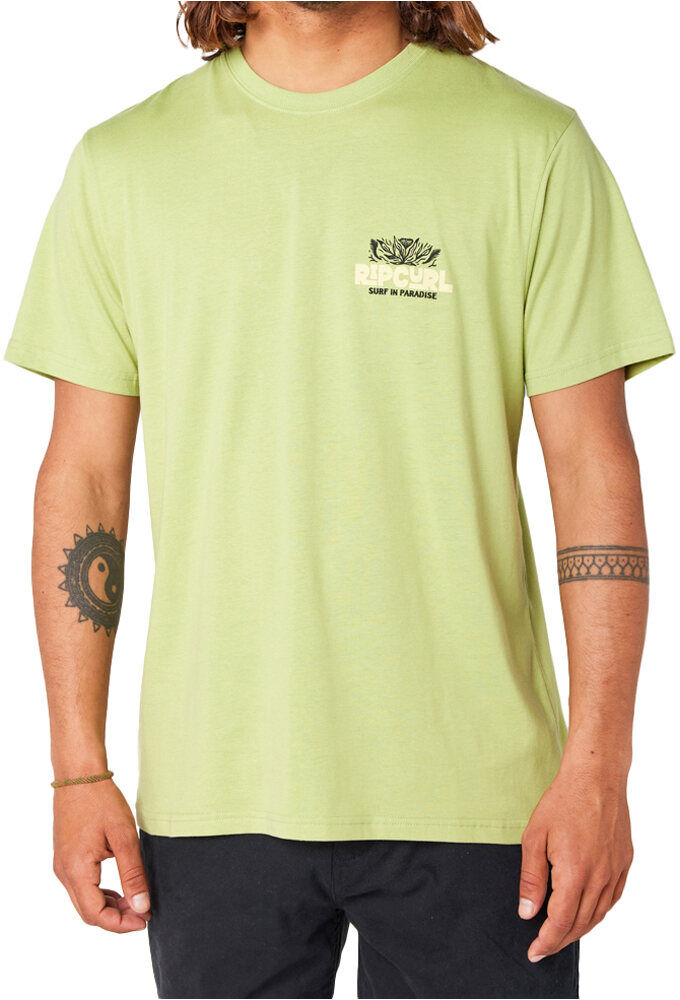 Rip Curl surf paradaise camiseta manga corta hombre Verde (M)