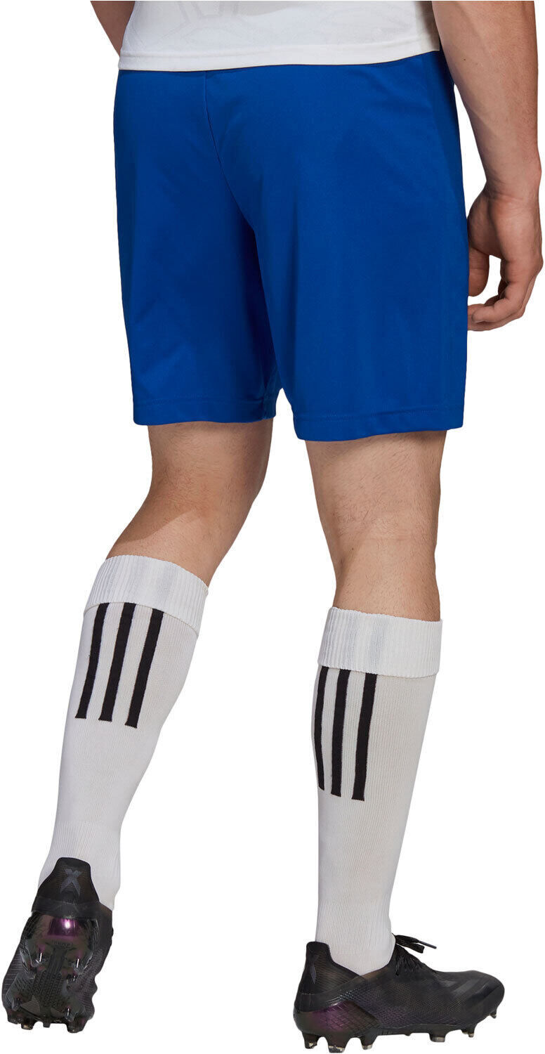 Adidas entrada 22 pantalones cortos futbol Marino (S)