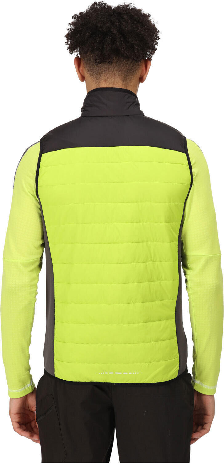 Regatta halton b chaleco outdoor hombre Verde (XXL)