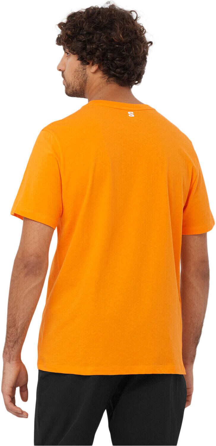 Salomon logo perf camiseta montaña manga corta hombre Amarillo