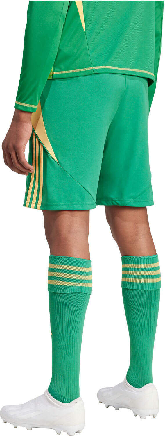 Adidas tiro24 pantalones cortos futbol Verde (XXL)