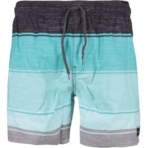 Rip Curl all time volley bañador playa hombre Azul (XL)