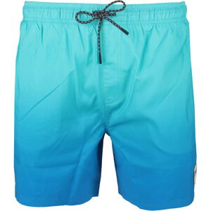 Rip Curl alcion volley bañador playa hombre Verde (M)