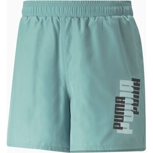 Puma essentiasls logo power bañador playa hombre Verde (XL)