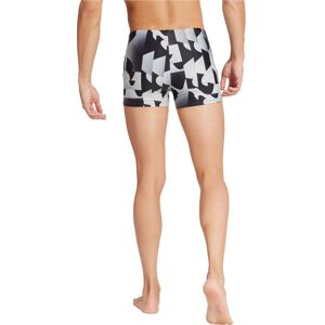 Adidas aop boxer bañador natación hombre Negro (L)