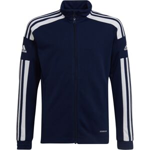 Adidas squadra 21 sudadera niño Azul (176)