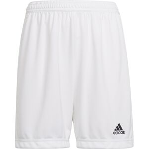 Adidas entrada 22 pantalones cortos futbol niño Blanco (116)