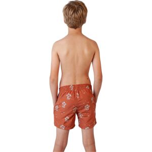 Barts Bañador playa niño falls shorts kids (152)