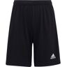 Adidas entrada 22 pantalones cortos futbol niño Negro (128)