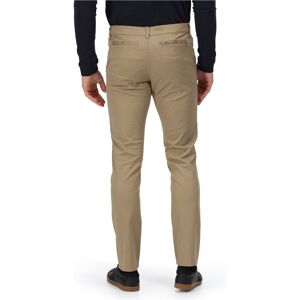 Regatta sandros trouser pantalón montaña hombre Oro (40)