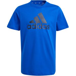 Adidas big logo camiseta manga corta niño Azul (140)