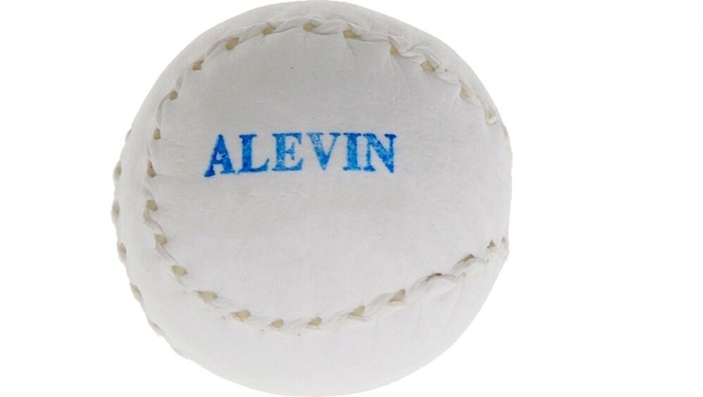 Euskalduna mano alevin pelota mano alevín  (UNICA)