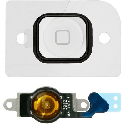 Avizar Repuesto Botón Home Blanco con Banda de Conexión para iPhone 5 Avizar Repuesto Botón Home Blanco con Banda de Conexión para iPhone 5