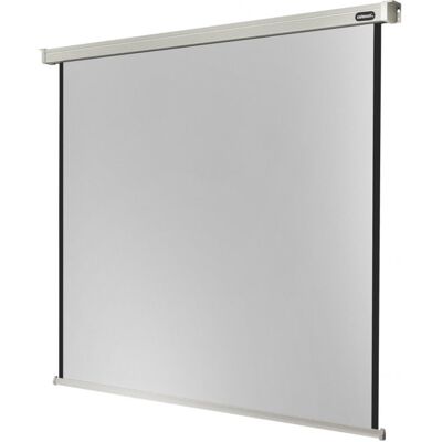 Celexon Electric Professional Pantalla de Proyección Eléctrica 280x280cm Celexon Electric Professional Pantalla de Proyección Eléctrica 280x280cm