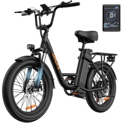 Bicicleta eléctrica URLIFE E20 motor 250 W batería 48 V 13 Ah neumáticos 20" Bicicleta eléctrica URLIFE E20 motor 250 W batería 48 V 13 Ah neumáticos 20"